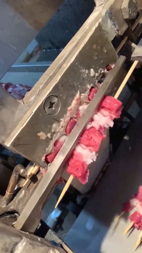關于肉串加工廠的一些觀察與思考